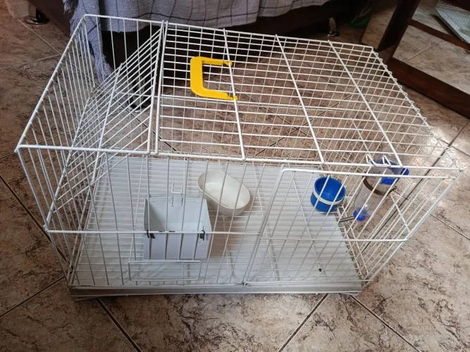 Gaiola para porquinho da índia em ótimo estado de conservação