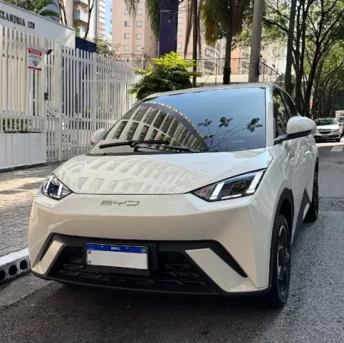 BYD Dolphin Mini (Elétrico) 2024