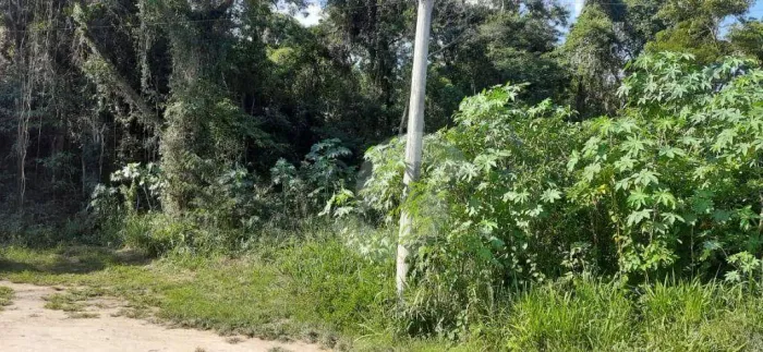 Terreno à venda, 450 m² por R$ 257.040,00 - Engenho do Mato - Niterói/RJ