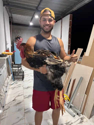 Balão sertanejo