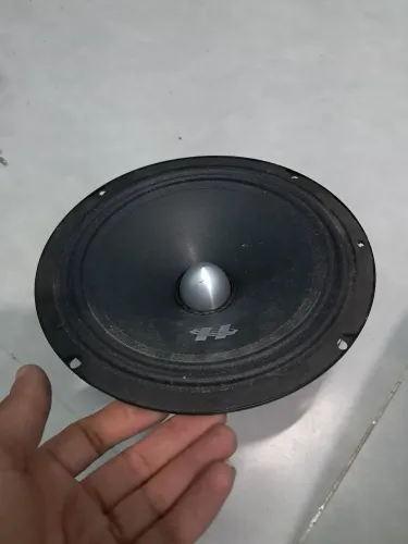 Médio grave 300wrms - Queimado