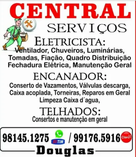 Eletricista e Encanador, Profissional Especializado.