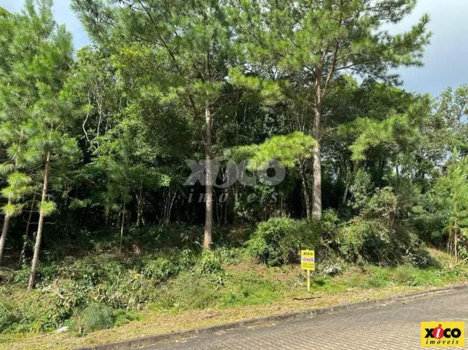 TERRENO PARA VENDA EM NOVA PETRÓPOLIS / RS NO BAIRRO LINHA IMPERIAL