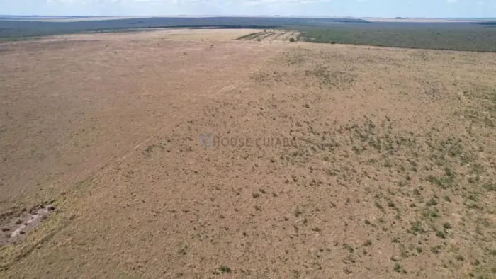 Oportunidade Fazenda Campo Novo Do Parecis