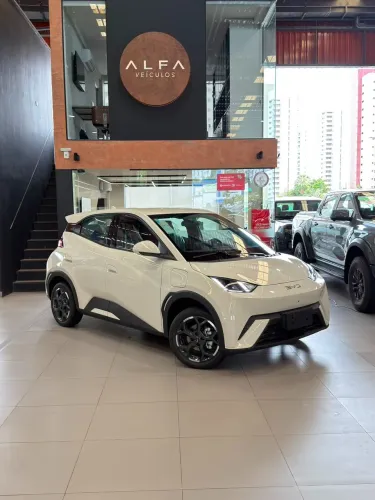 BYD Dolphin Mini (Elétrico) 2027