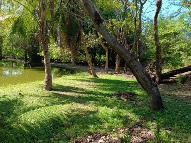 VENDO UMA CHÁCARA COM 28.000M² NO TIMBUBA - PAÇO DO LUMIAR/MA