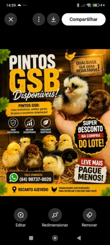 Pintos GSB