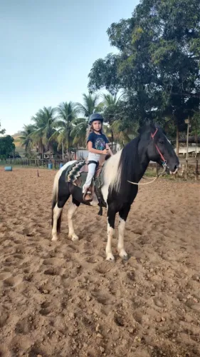 Cavalo mangalarga