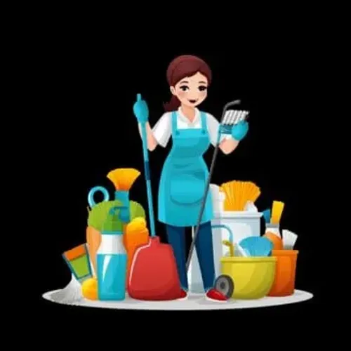 SOU DIARISTA FAÇO FAXINA CASA OU APARTAMENTO CHAMA NO ZAP 