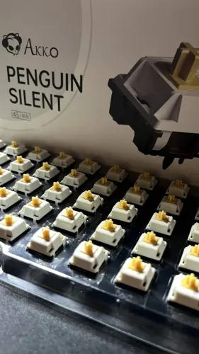 Kit de Switches Akko Penguin Silent (2 Caixas)