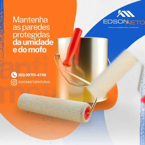 Pintor Profissional