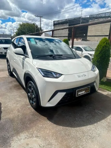 BYD Dolphin Mini GL 2027