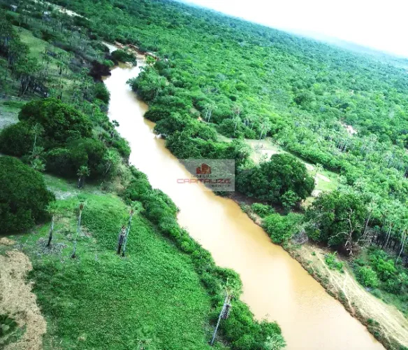 Fazenda de Pecuária 1.700 Hectares / Piauí