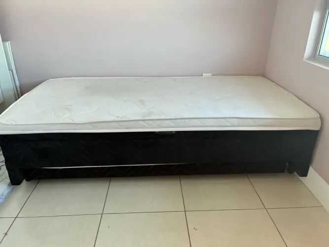Bicama solteiro