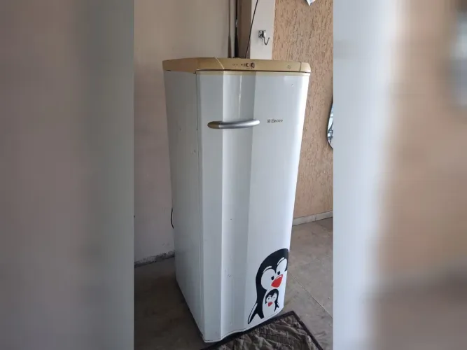 Geladeira Electrolux Completa