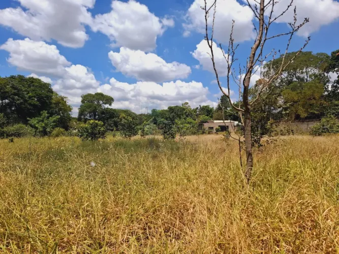 Terreno de 5.000m² à venda em condomínio - Recreio Internacional