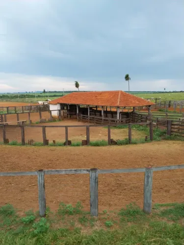 COD369- FAZENDA 865HECTARES - SIDROLÂNDIA/MS
