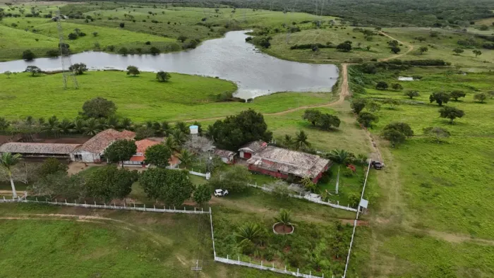 fazenda com 410 hectares na melhor região de Macaiba 90% plantada e piquetada