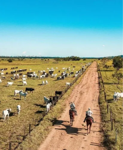 R$190 Milhoes Fazenda 1.088 ha região de GuarulhosSP