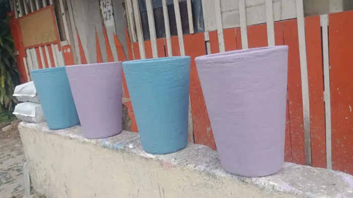 4 Vasos de Planta por 120$