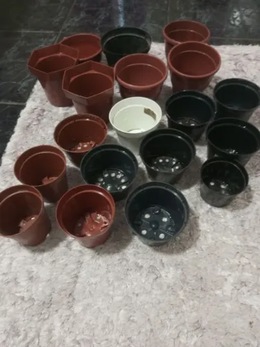 Kit vasinhos de plantas