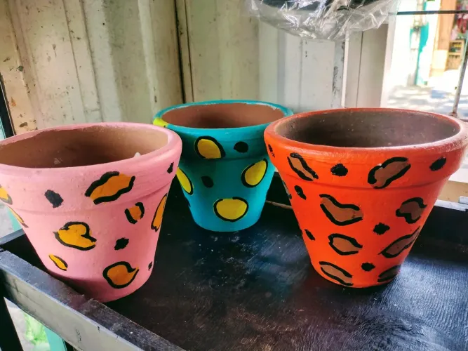 Vasos de plantas decorativos com pintura animal print