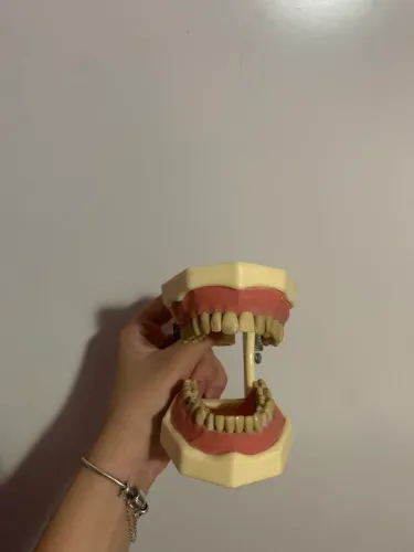 Manequim de Dentistica - ORAIS