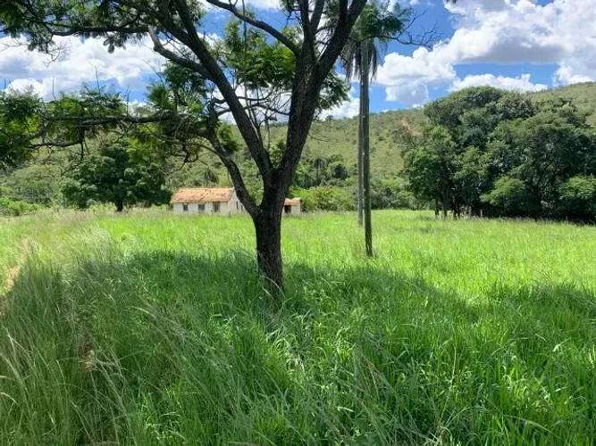 Terreno 4.5 ha, 100% formado em pastagem, agua corrente nos fundos, pomar.