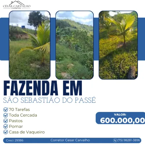 FAZENDA EM SÃO SEBASTIÃO DO PASSÉ - 70 TAREFAS