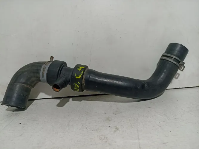 Mangueira Inferior do Radiador Peugeot 207 307 Citroen C4 Pallas Hatch 1.6 16V Original