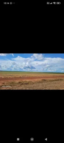 Fazenda arrendamento 3.000 hec em são José xingú MT.