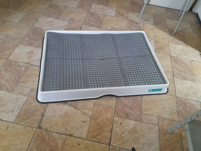 Banheiro inteligência para cães-