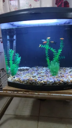 Aquário Poyu 70 litros 