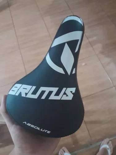 Banco absolute brutus