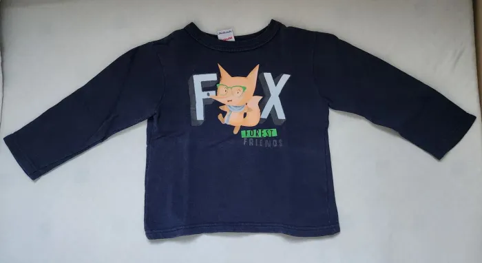 3 Blusa de manga comprida infantil com estampa de raposa