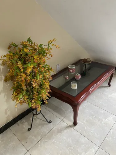 Mesa de centro em mogno em perfeito estado 
