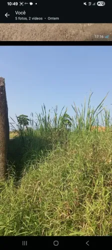 Terreno 