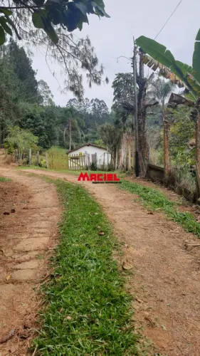 SÍTIO - BAIRRO DOS SOUZA - MONTEIRO LOBATO - OPORTUNIDADE - OTIMA LOCALIZAÇÃO E TOPOGRAFIA