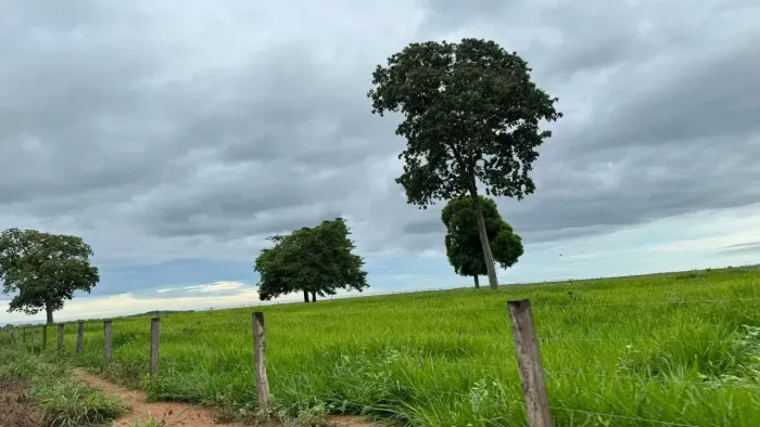 Fazenda a venda dupla aptidão - Aruanã - GO