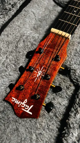 Guiguitars