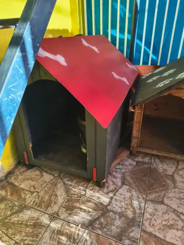 Casinha de cachorro