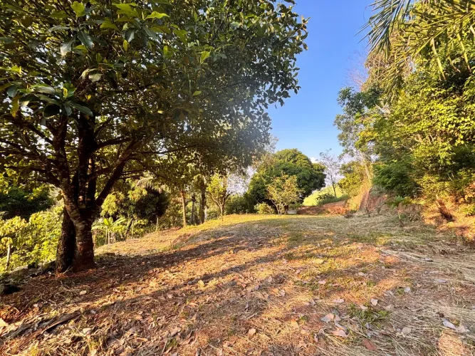 Terreno em Seropedica 