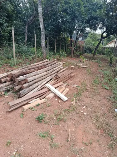 Vende-se pau de eucalipto 