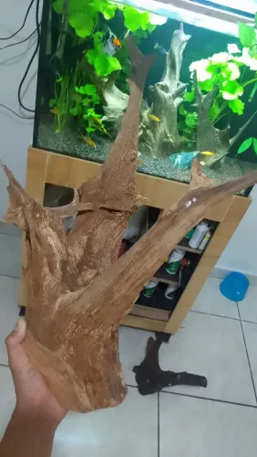 Vendo raiz de aroeira