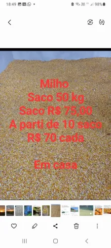 Vendo Milho seco em secador 