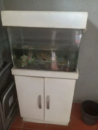 Aquário