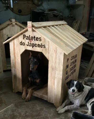 Casa de cachorro Pet