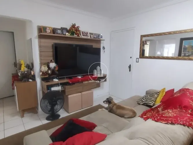 Apartamento 1 Quarto 53m² - Coloninha - BRN