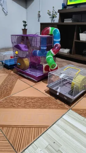 3 Gaiolas para hamster