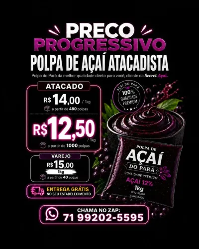Polpa de Açaí 